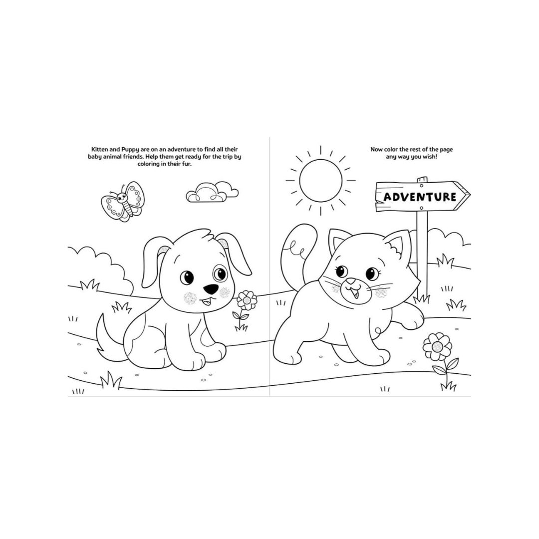 Crayola Baby Animals Coloring Activity Book The Baby Barrel Where Fun Style Is Alive