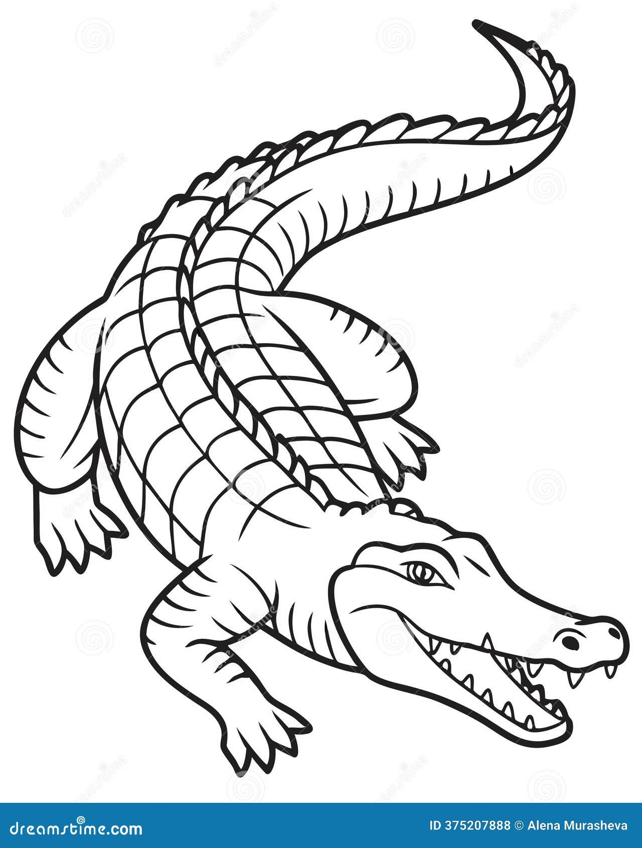 Crocodile Coloring Page With Detailed Scales And Open Mouth Line Art Stock Illustration Illustration Of Jungle Drawing 375207888