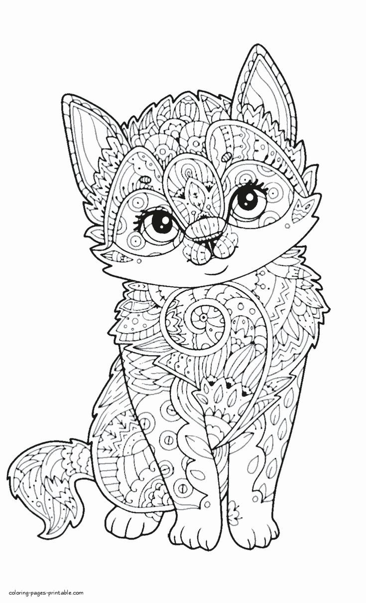 Cute Animal Coloring