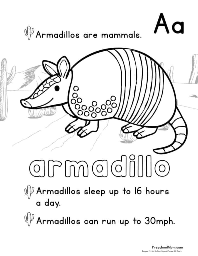 desert animals coloring pages