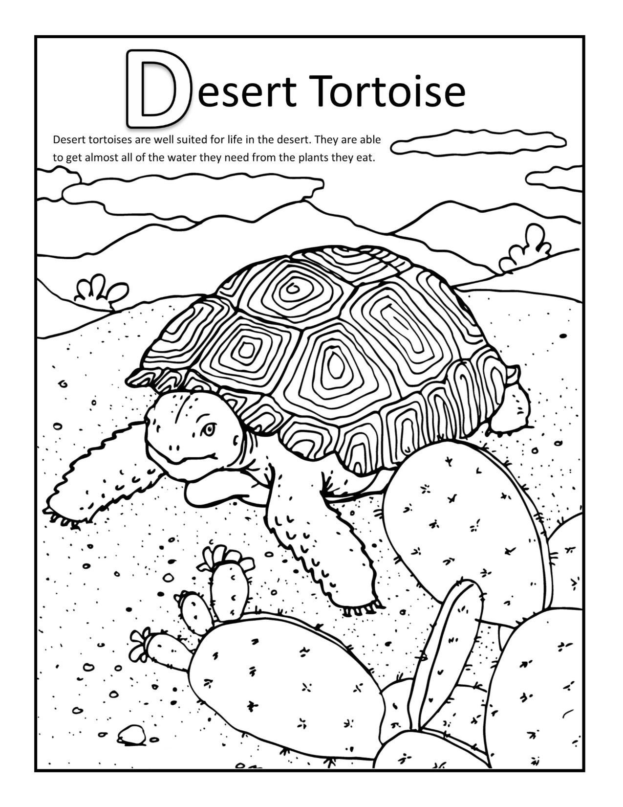Desert Coloring Pages Best Coloring Pages For Kids