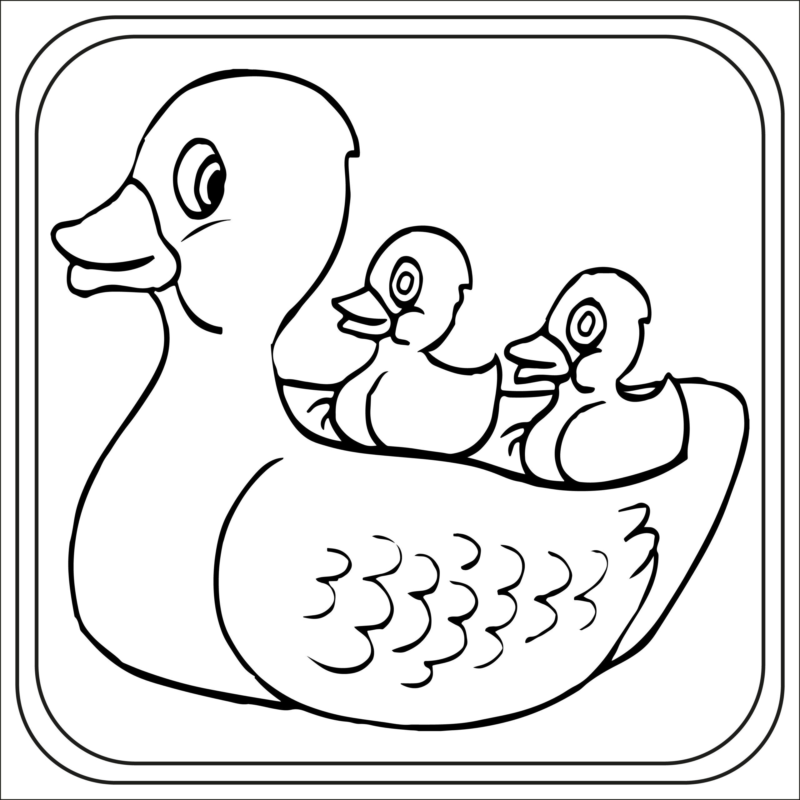 Duck Coloring Pages Preschool Kindergarten First Grade Made By Teachers