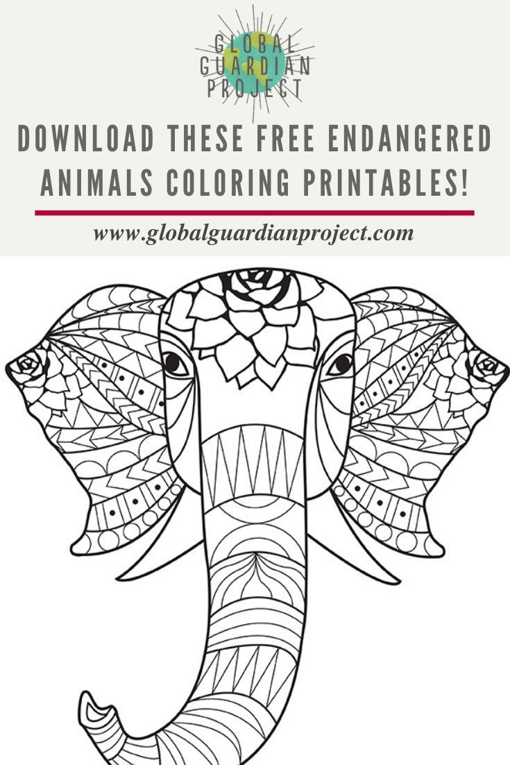 Endangered Animals Coloring Activities For Kids