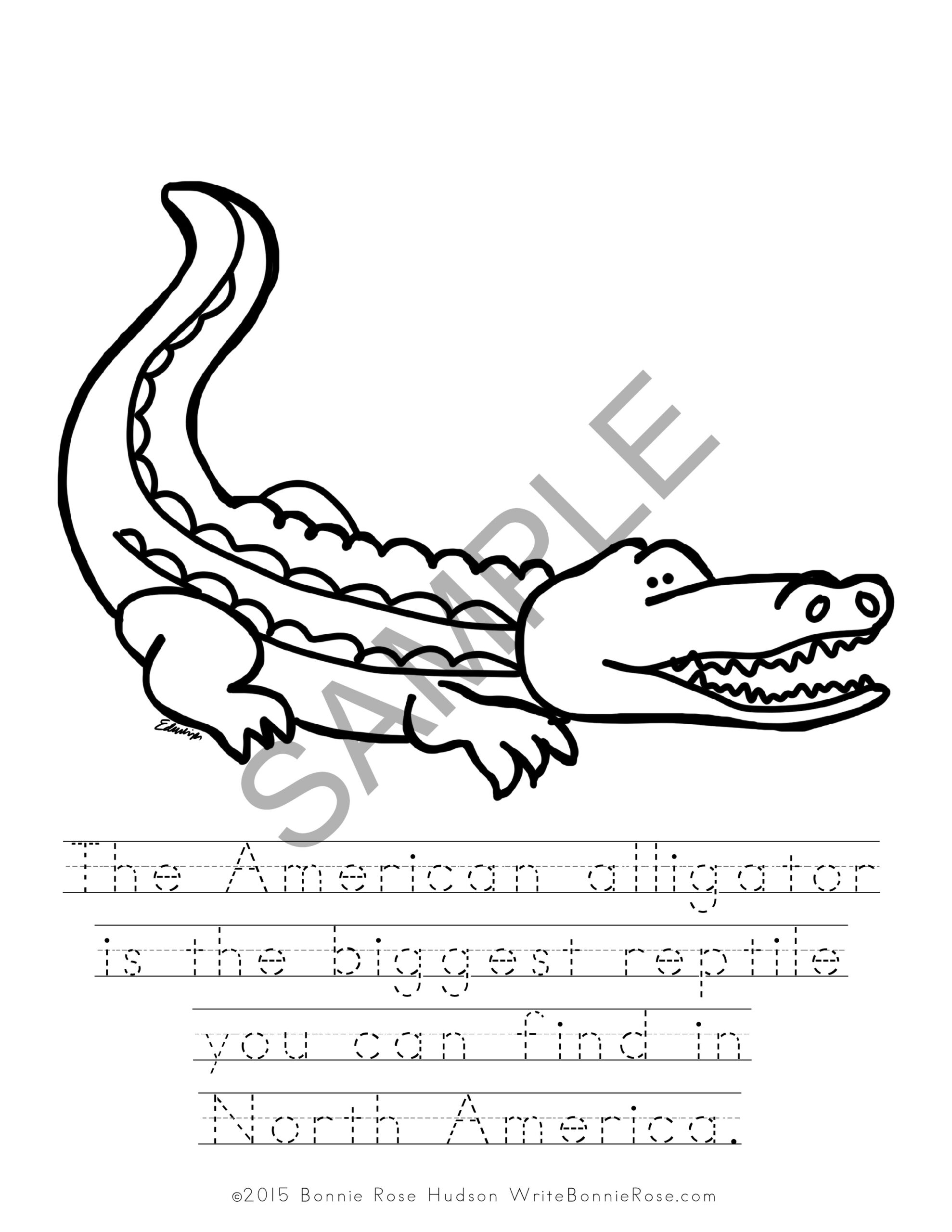 Endangered Animals Coloring Book Level B Made By Teachers