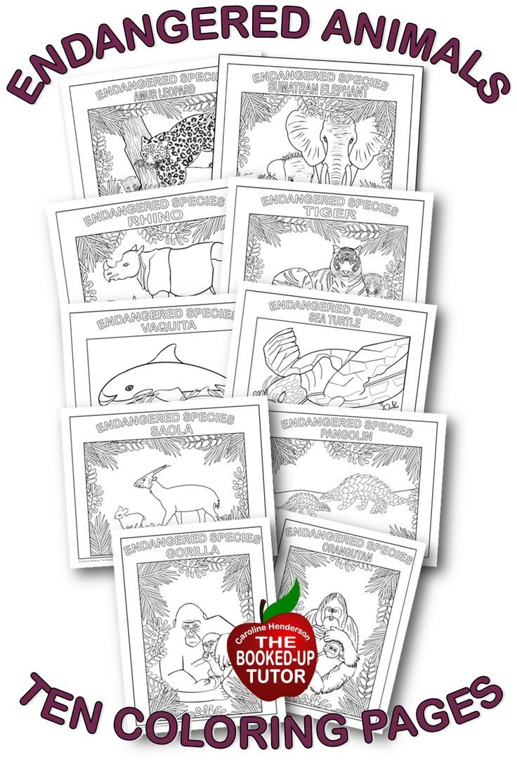 endangered animals coloring pages