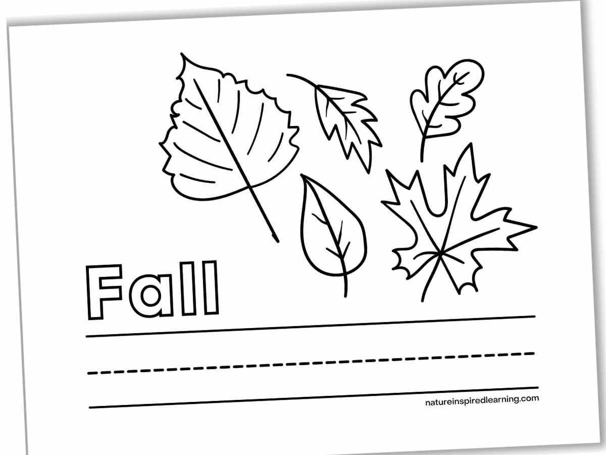 preschool leaf coloring pages