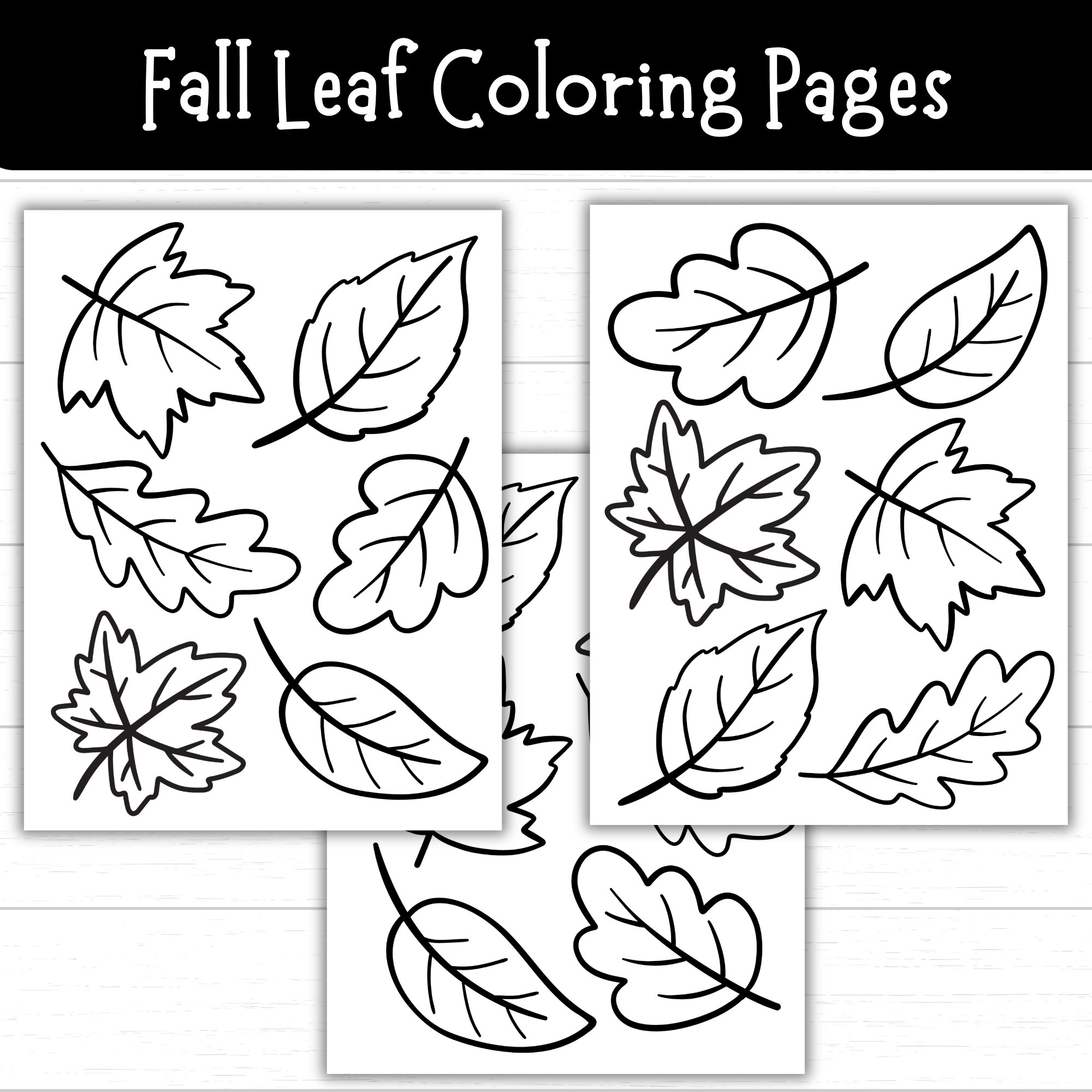 Fall Leaf Coloring Pages Leaf Printables Autumn Leaf Coloring Sheets Fall Activities For Kids Leaf Templates Fall Printables For Kids Etsy