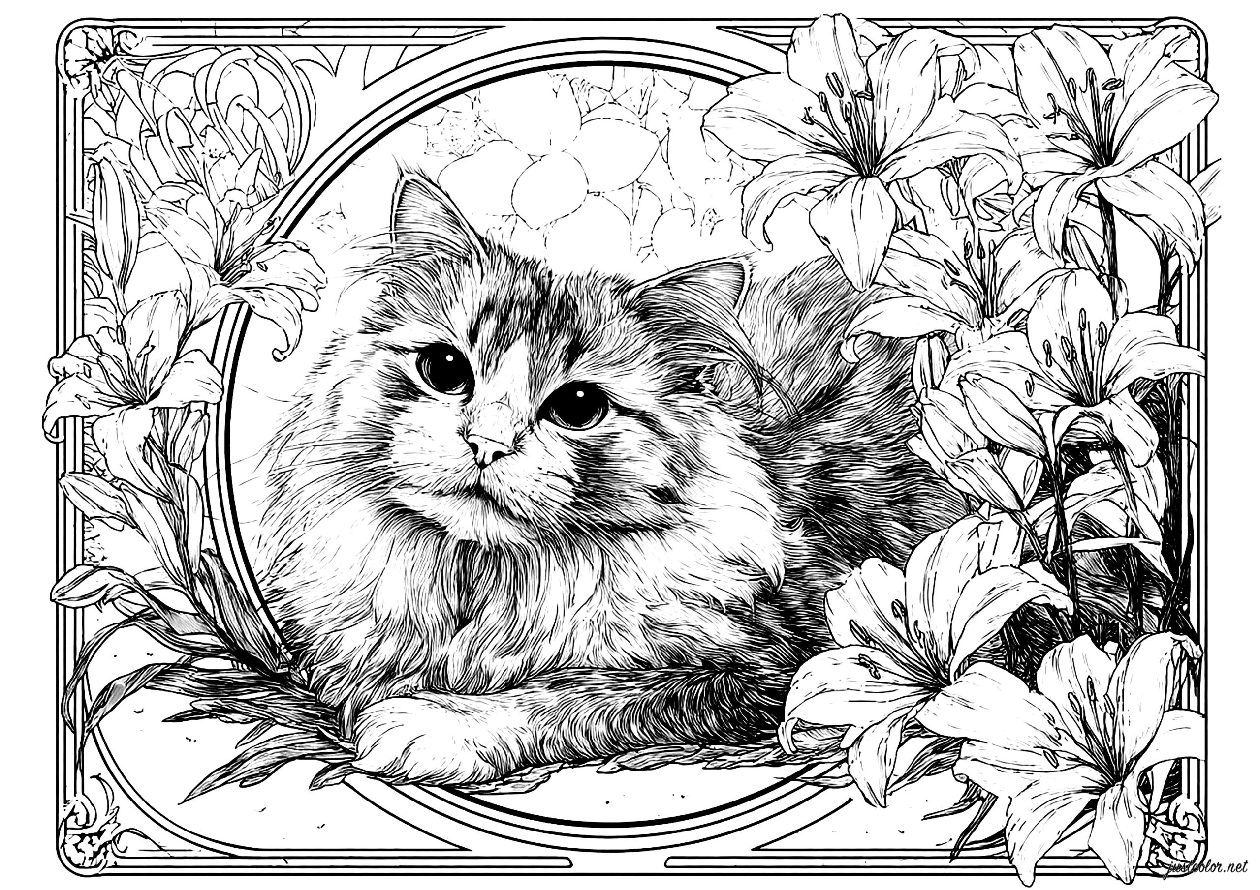 coloring pages of cats