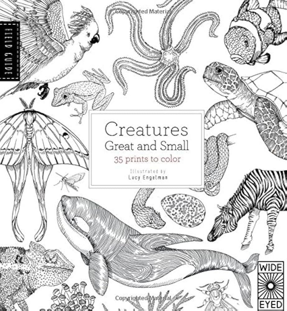 Field Guide Creatures Great And Small 35 Prints To Color Engelman Lucy Davies Valerie 9781847806970 Amazon Books