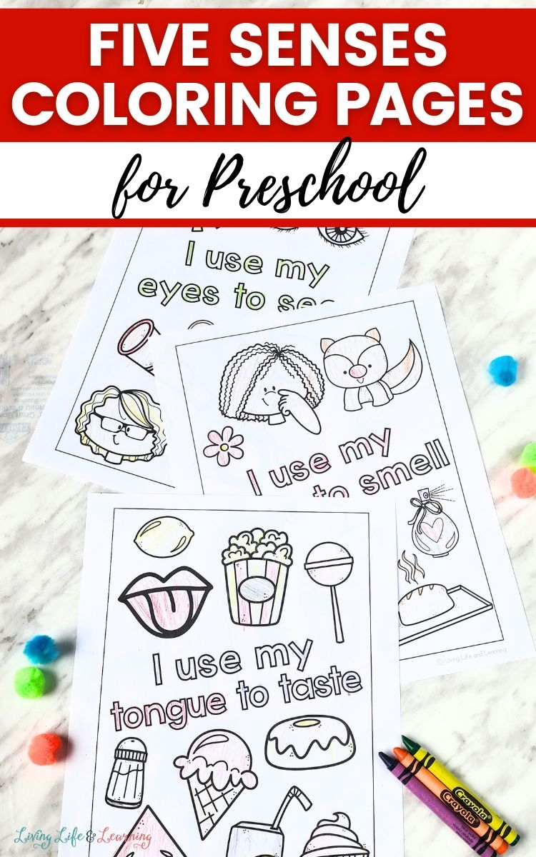 5 senses coloring pages for preschoolers