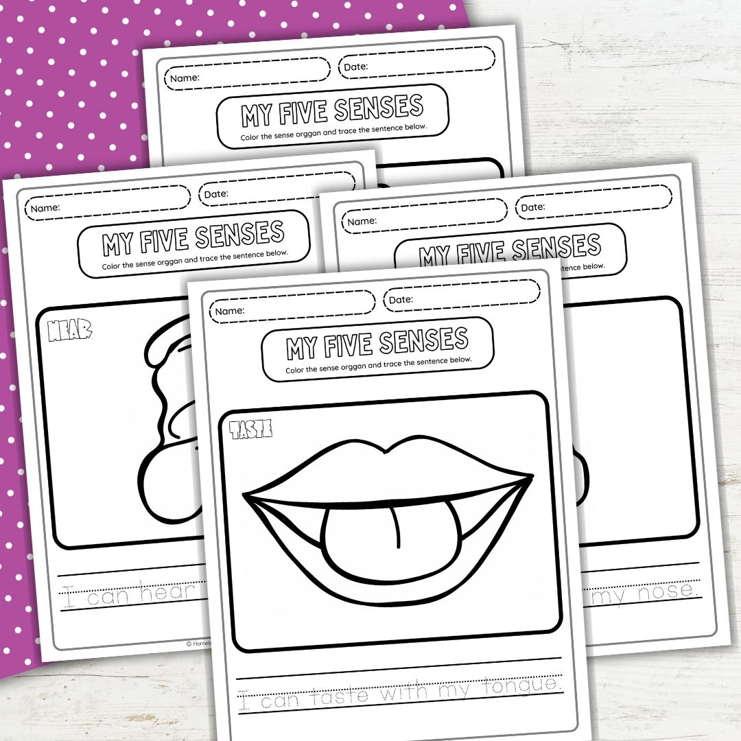 five senses coloring pages for preschool
