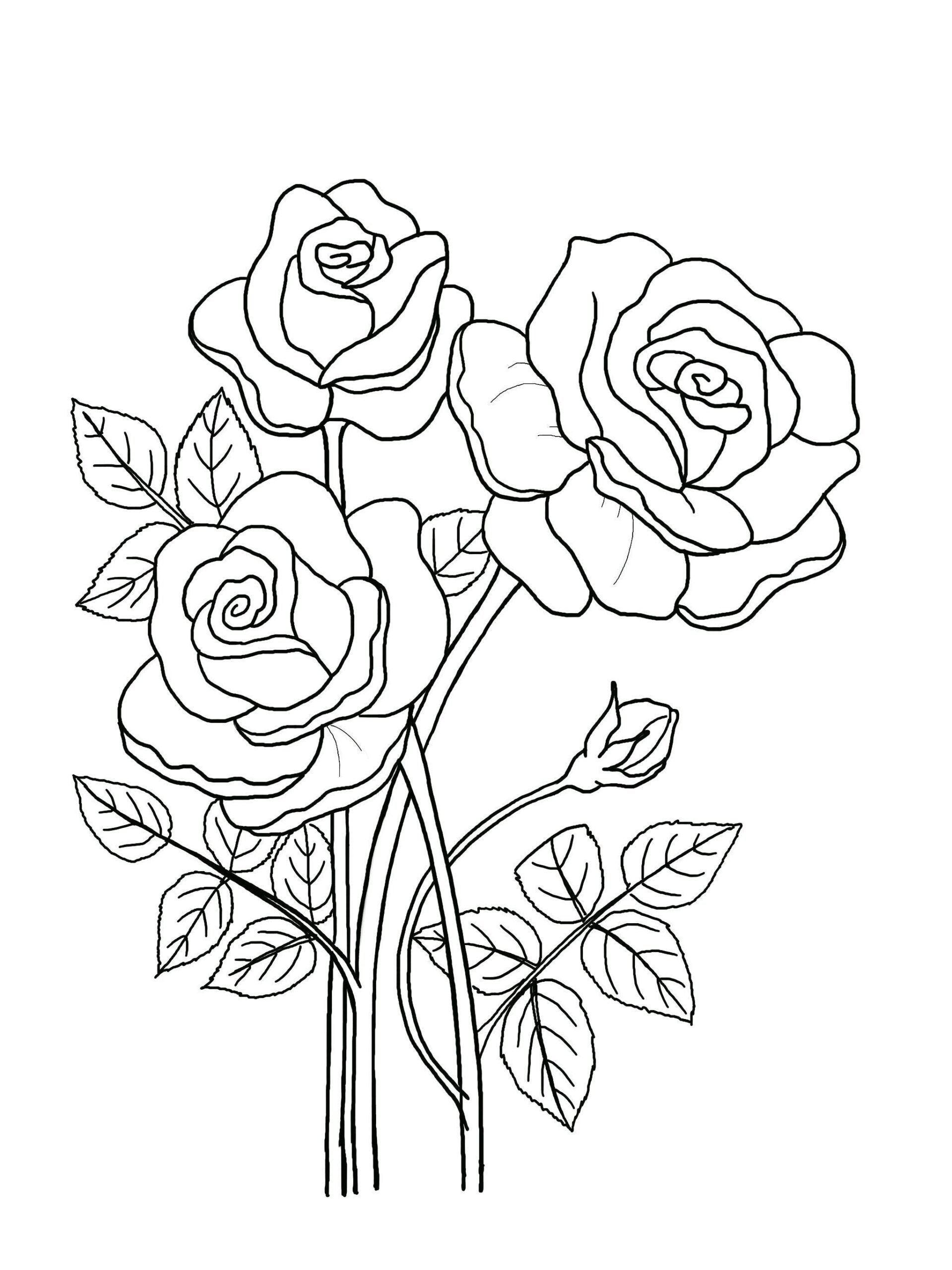 Floral Coloring Pages Hand drawn Flowers 5 page Book PDF JPG Etsy Finland