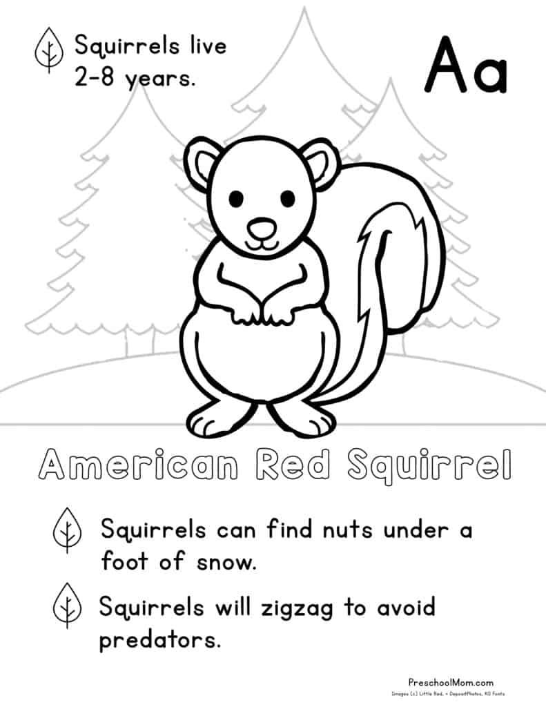 Forest Animal Coloring Pages Preschool Mom