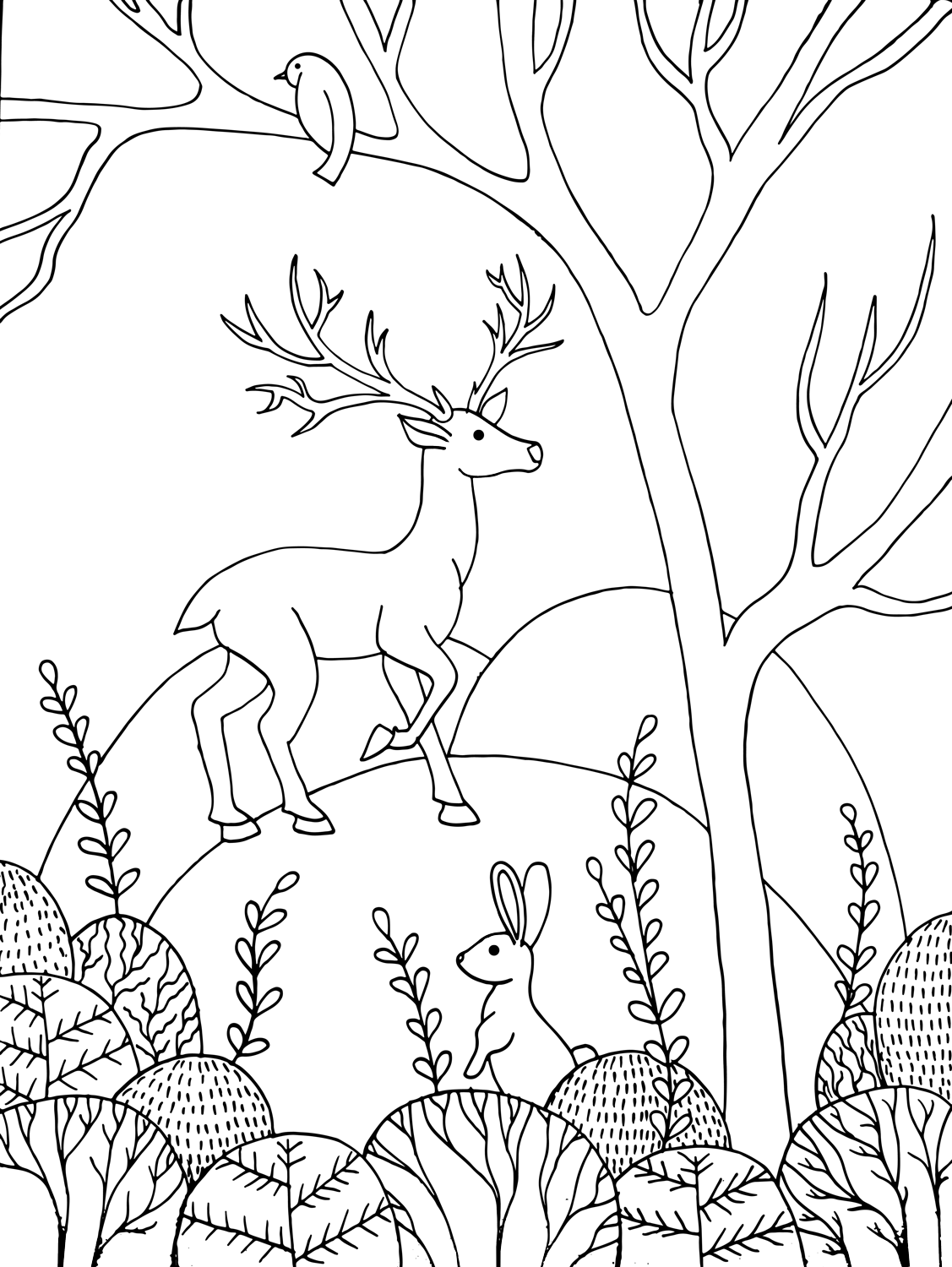 Forest Animals In Spring Coloring Page Free Printable