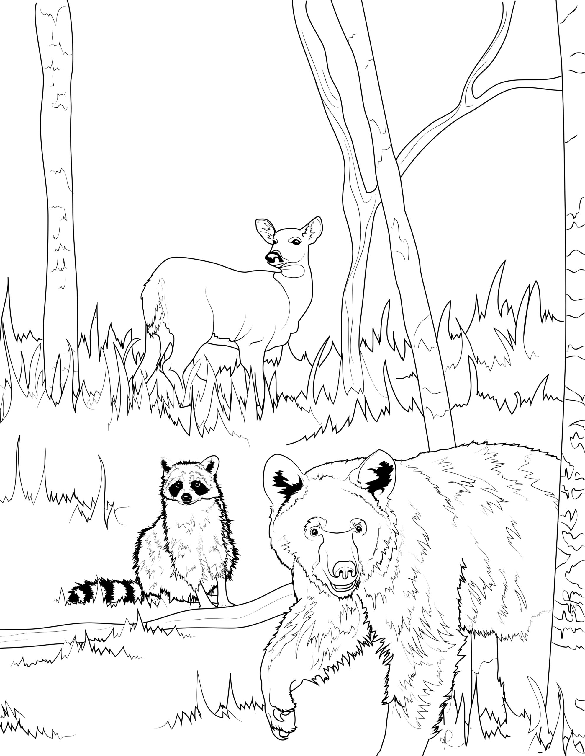 Four Legged Coloring Pages Frisco Native American Museum