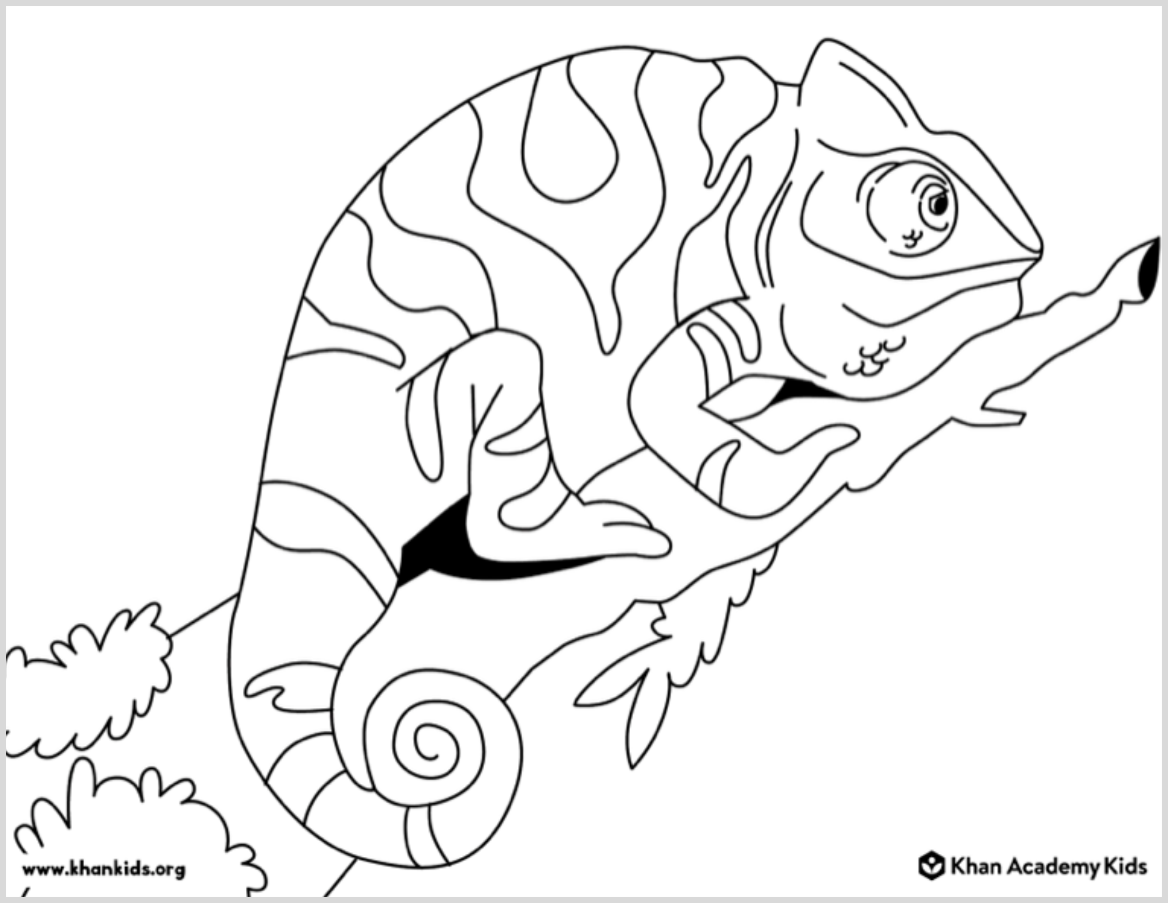 coloring pages animal