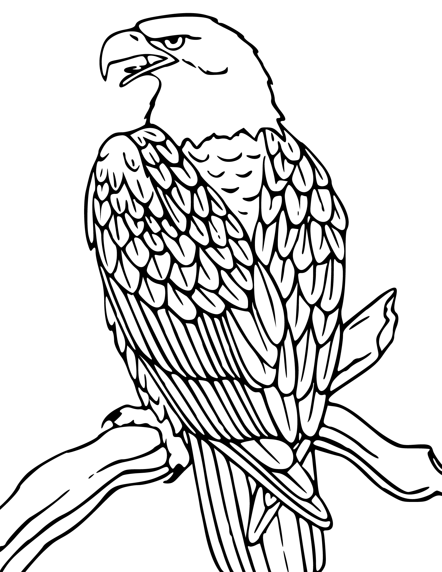 eagle coloring page