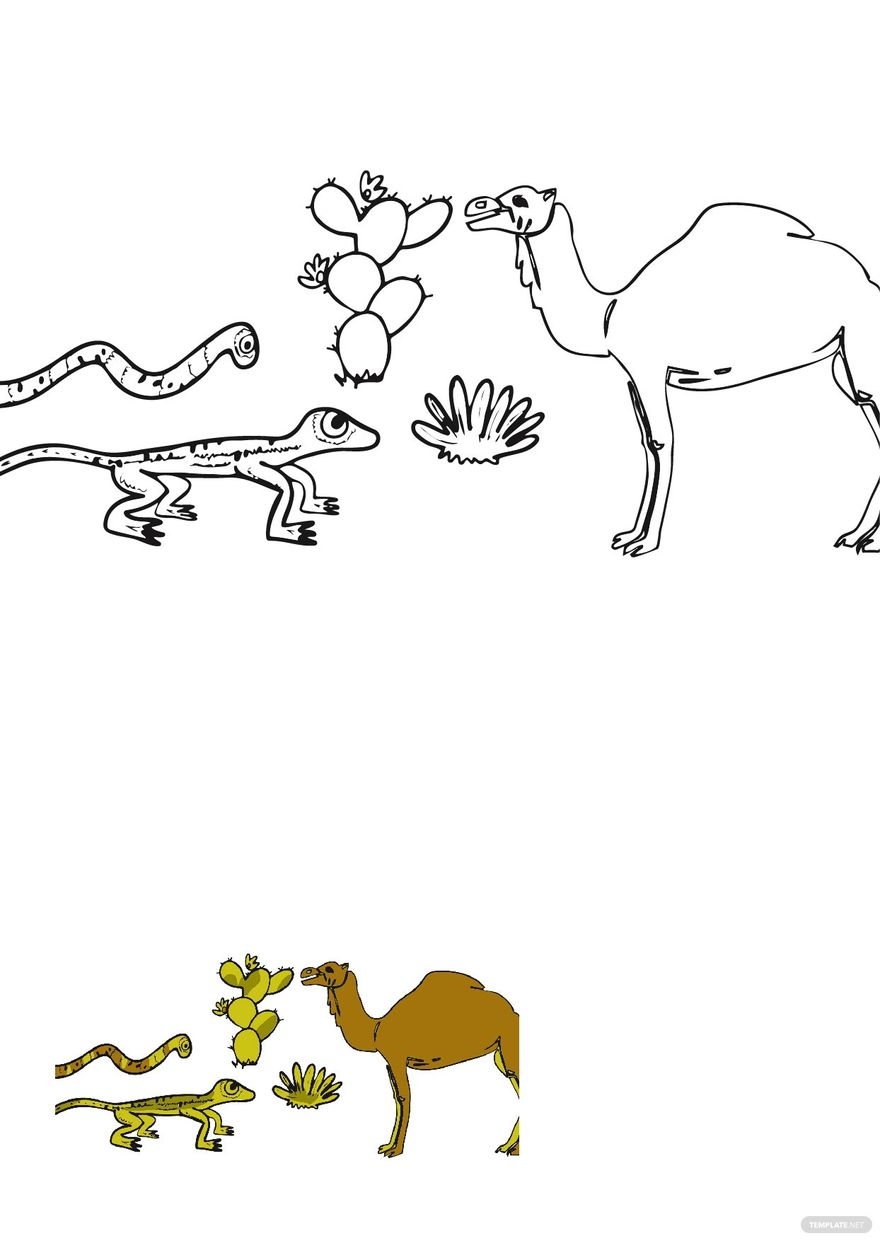 Free Desert Animals Coloring Pages Template To Edit Online