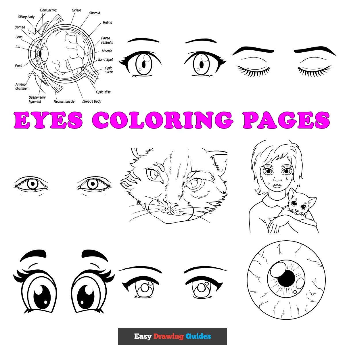Free Eyes Coloring Pages For Kids 12 Printable Sheets