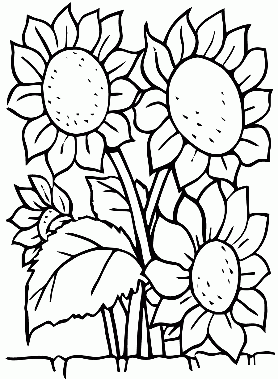 flowers coloring pages for preschoolers