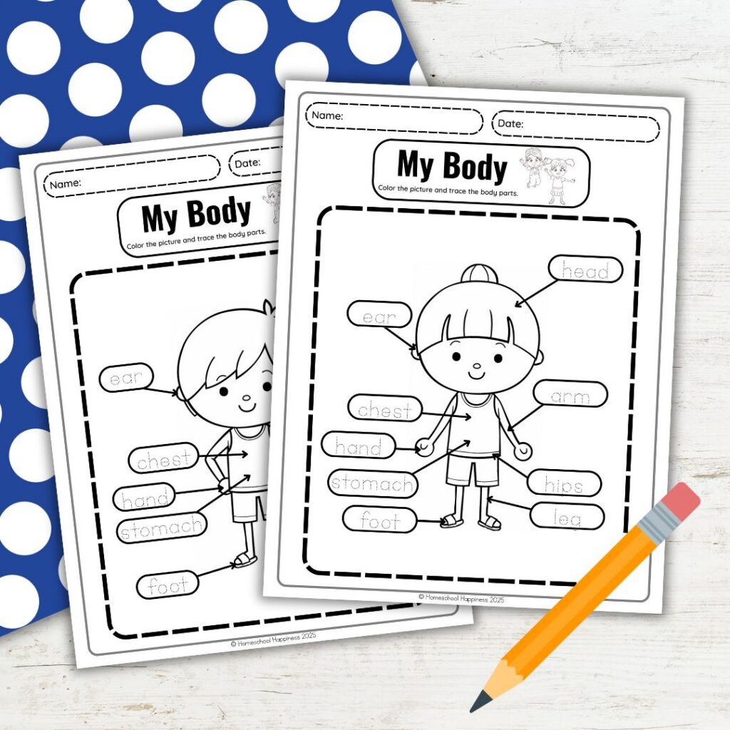 Free Human Body Coloring Pages For Kindergarten Preschool