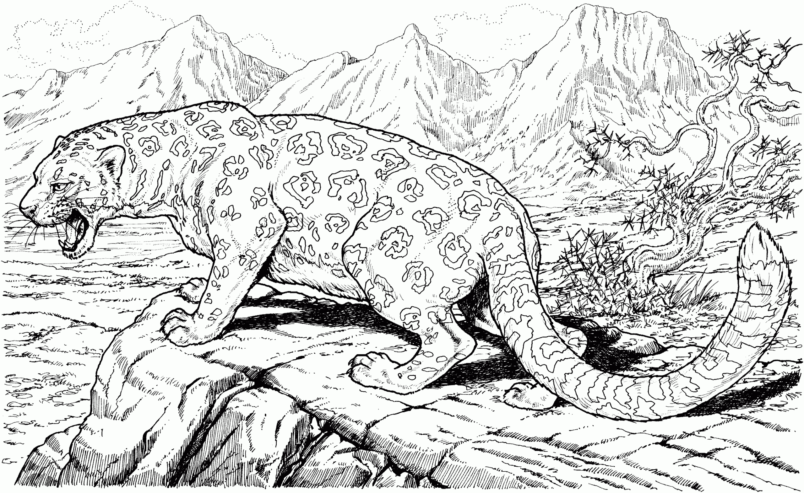 Free Jaguar Coloring Pages