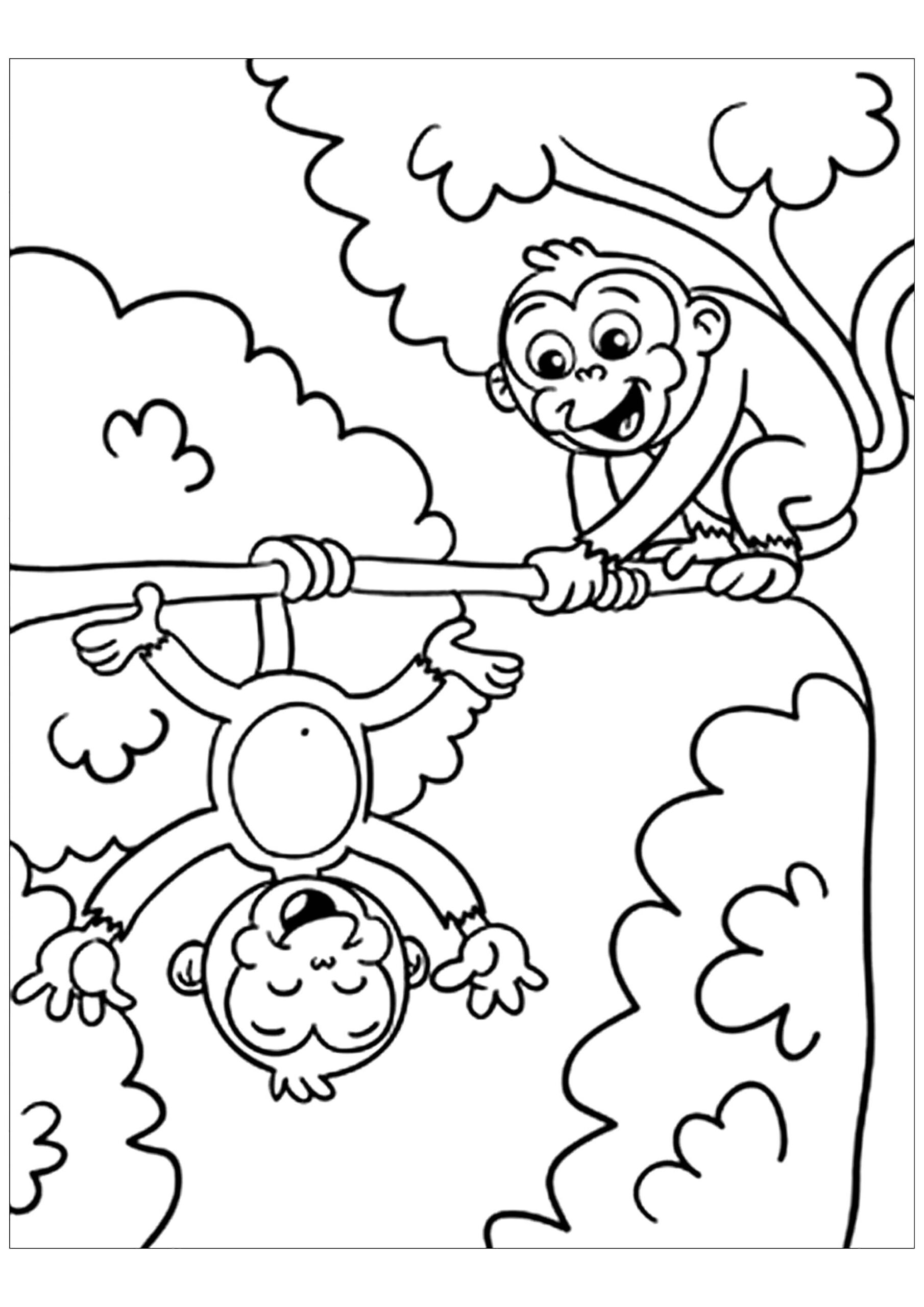 coloring monkey pages