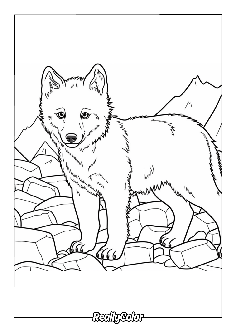 cute arctic animals coloring pages