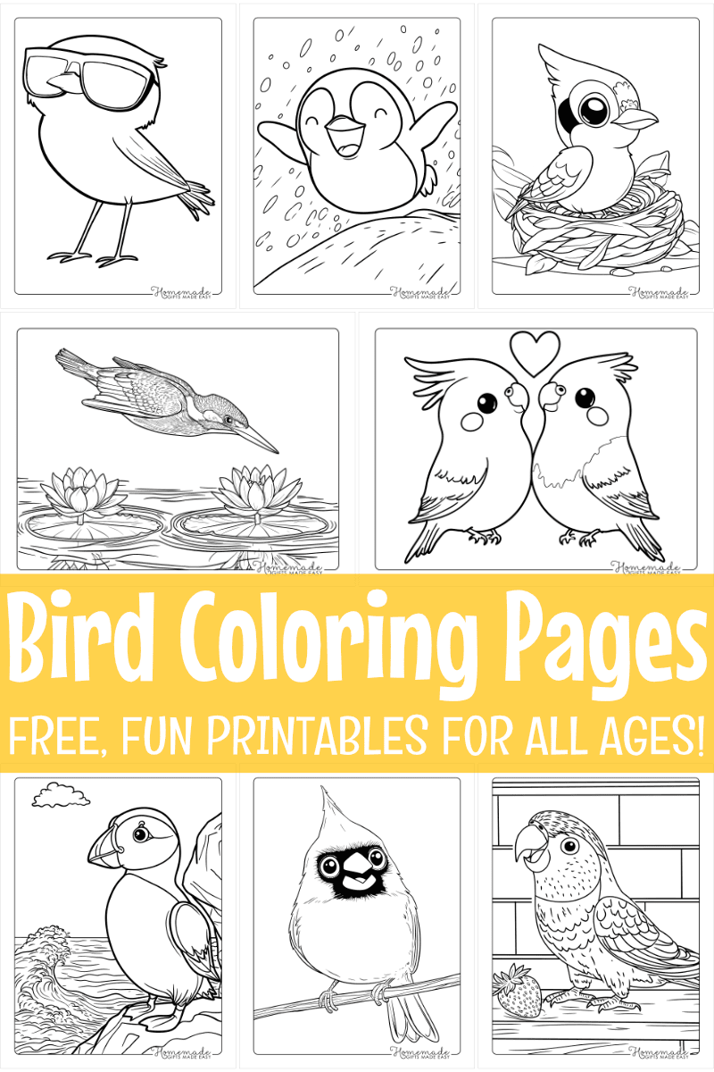 birds coloring pages for preschool