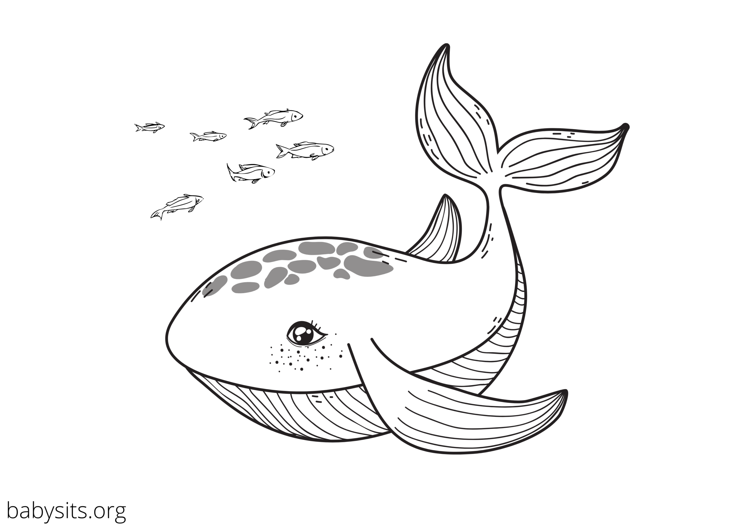 coloring pages for ocean animals