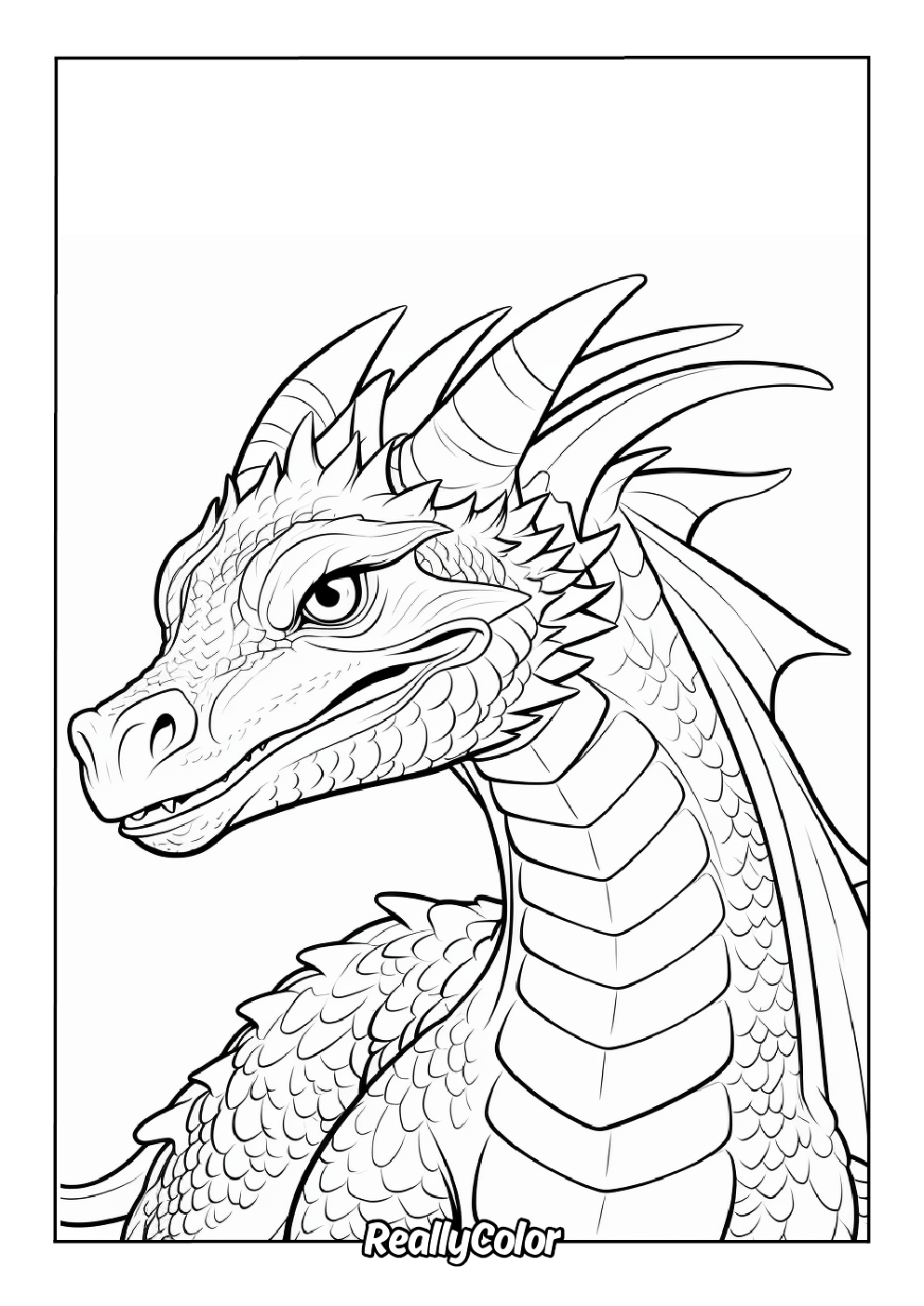dragon coloring pages
