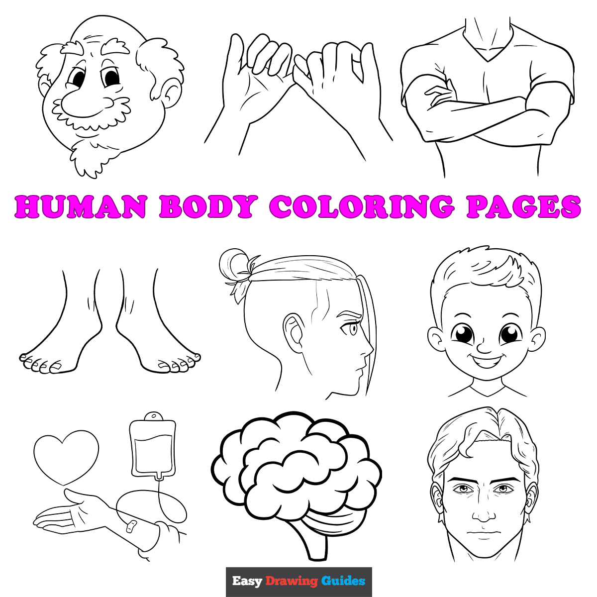 my body coloring pages preschool