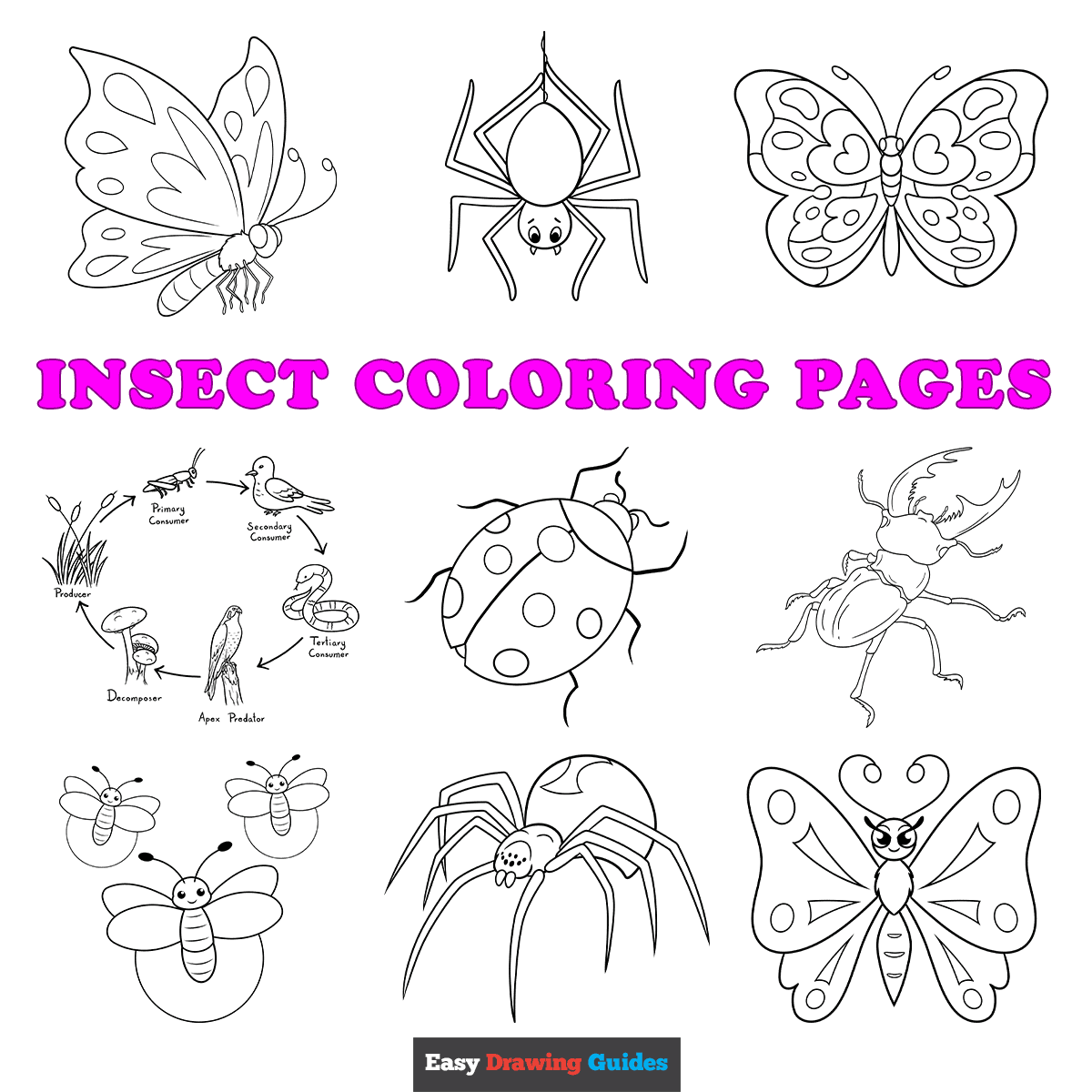 Free Printable Insect Coloring Pages For Kids