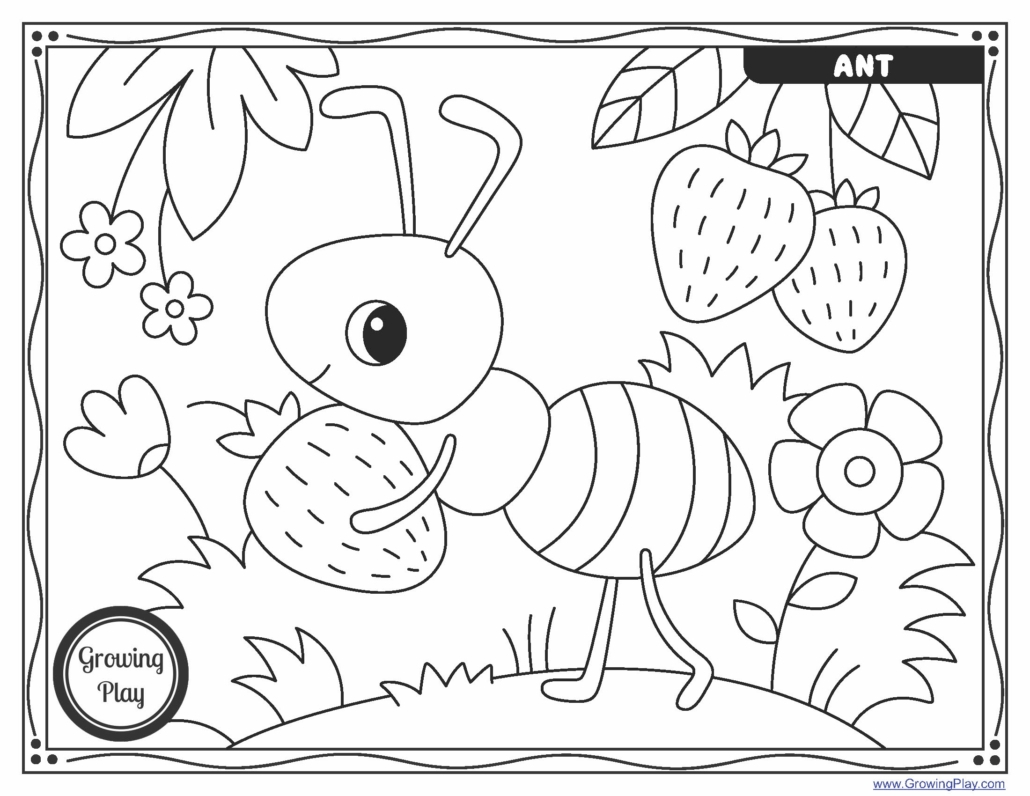Free Printable Insect Coloring Pages Growing Play