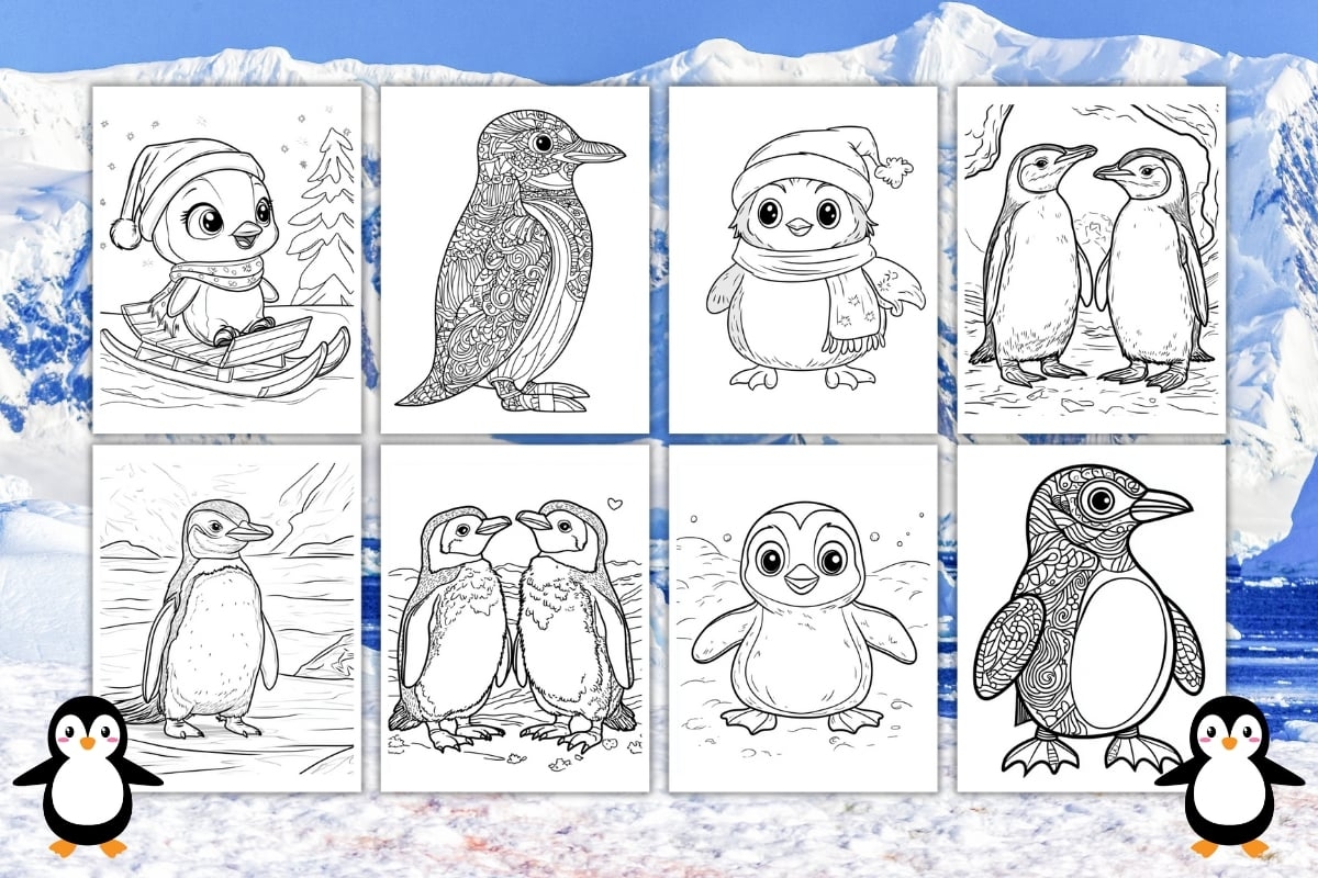 preschool penguin coloring pages