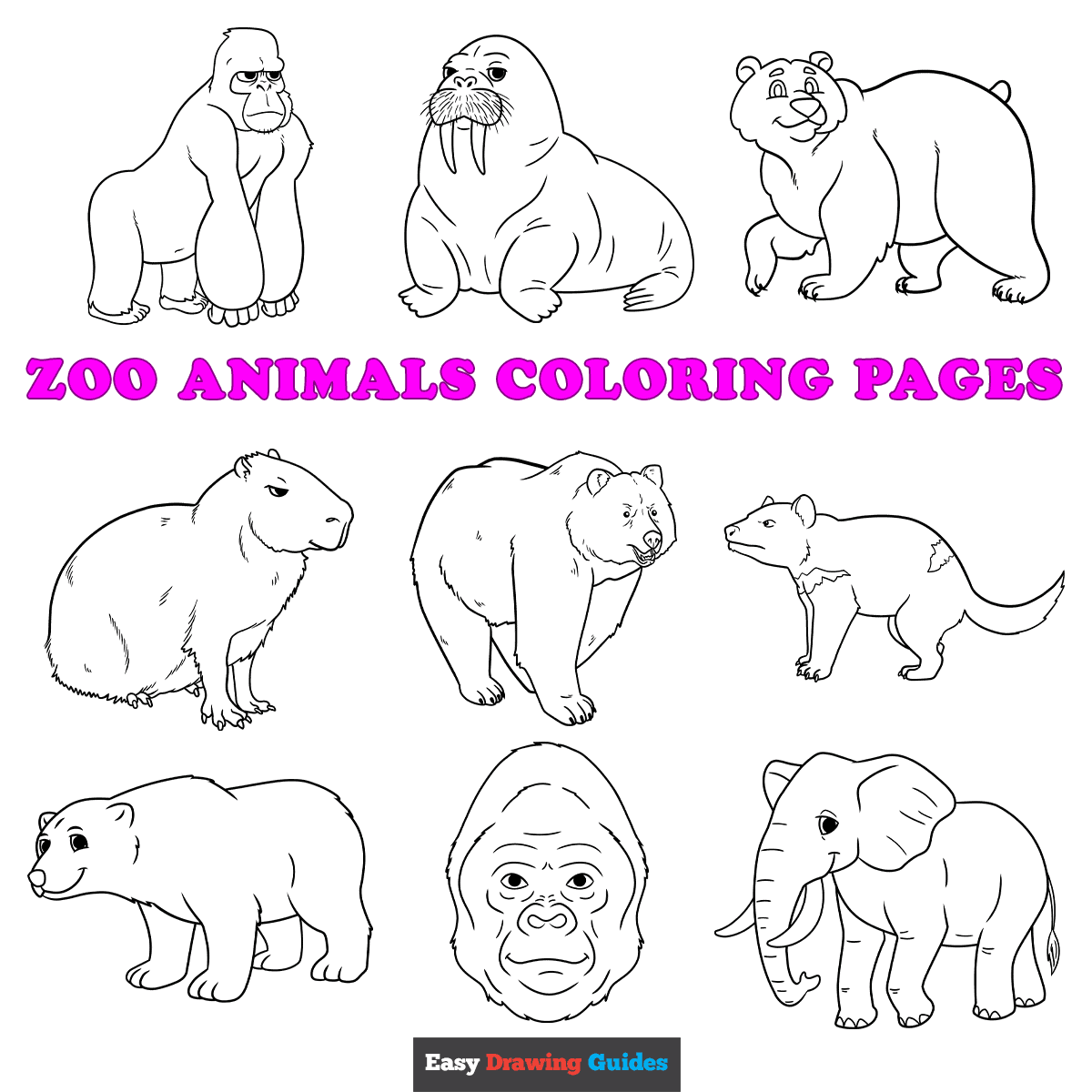 zoo animal coloring page