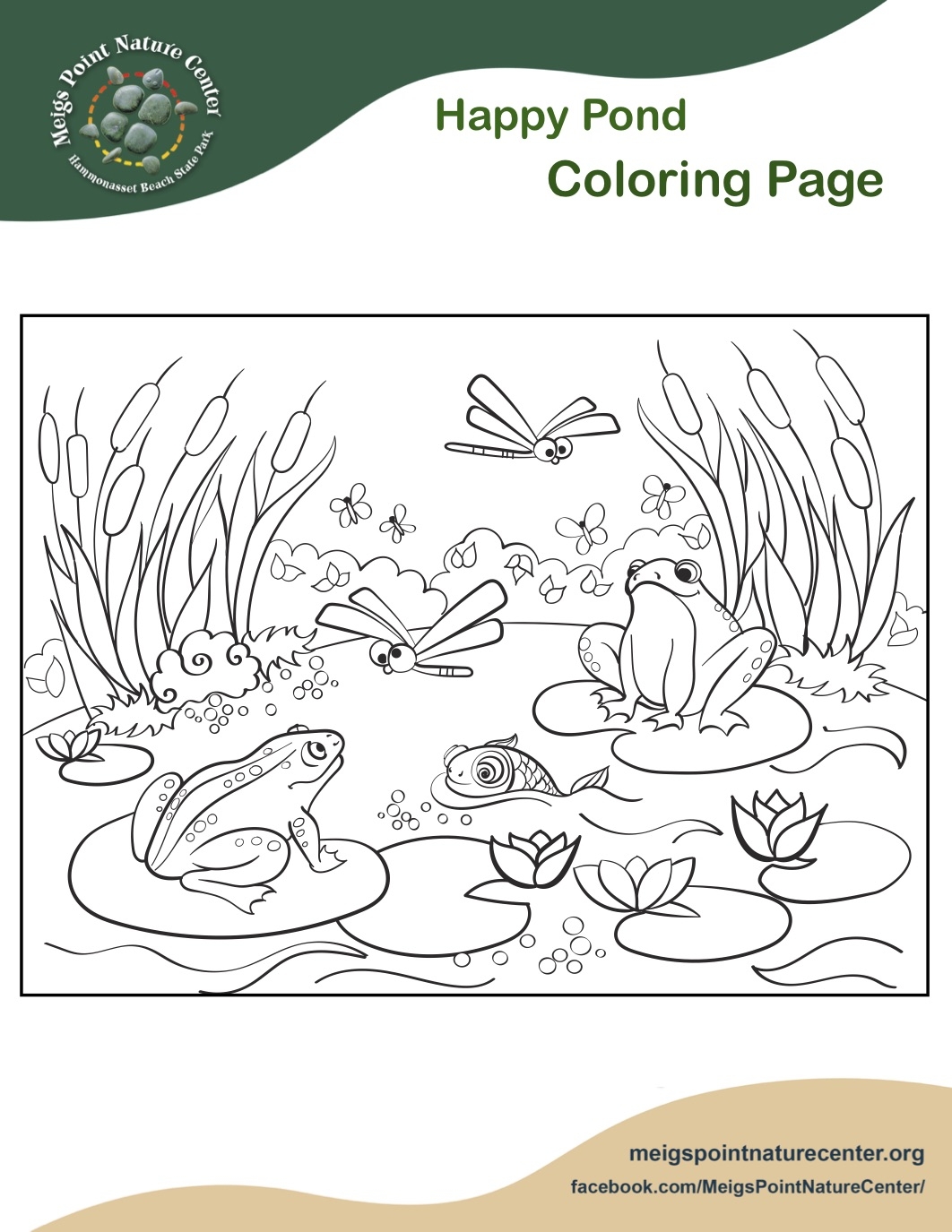 Frogs In Pond Coloring Page Meigs Point Nature Center Madison CT