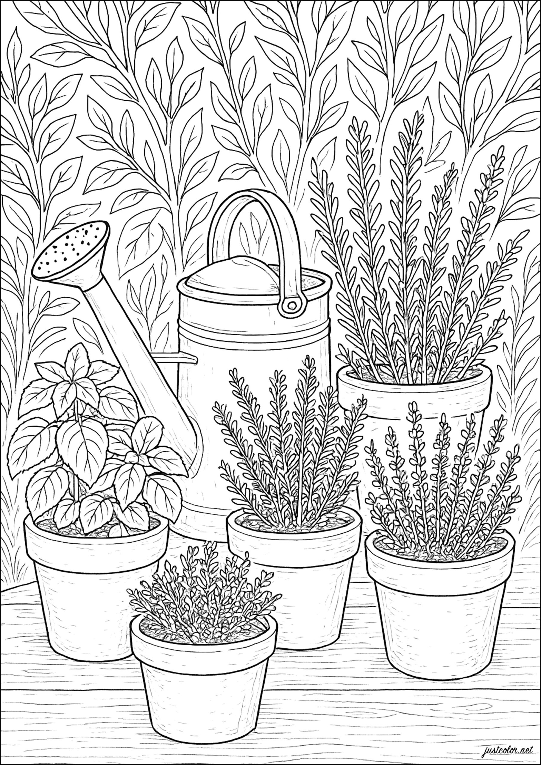 Garden Of Soothing Green Pots Flowers Vegetation Coloring Pages For Adults Garden Of Soothing Green Pots Flowers Vegetation Coloring Pages For Adults