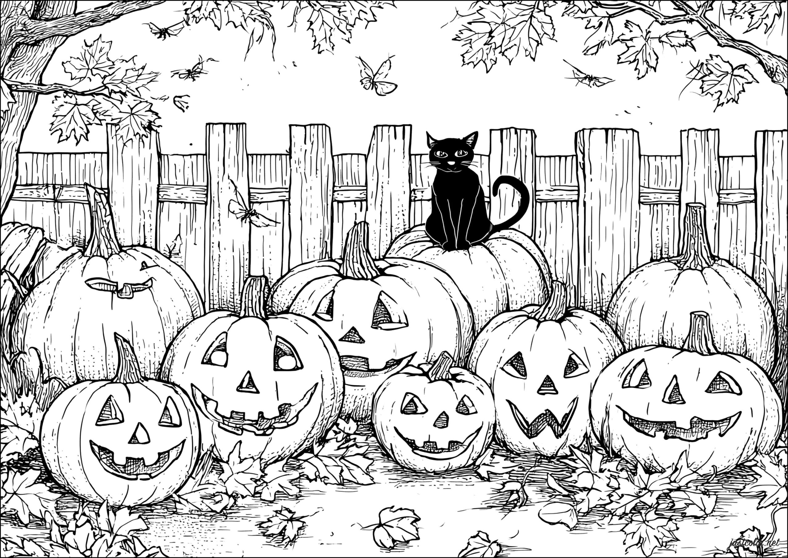 free halloween coloring pages