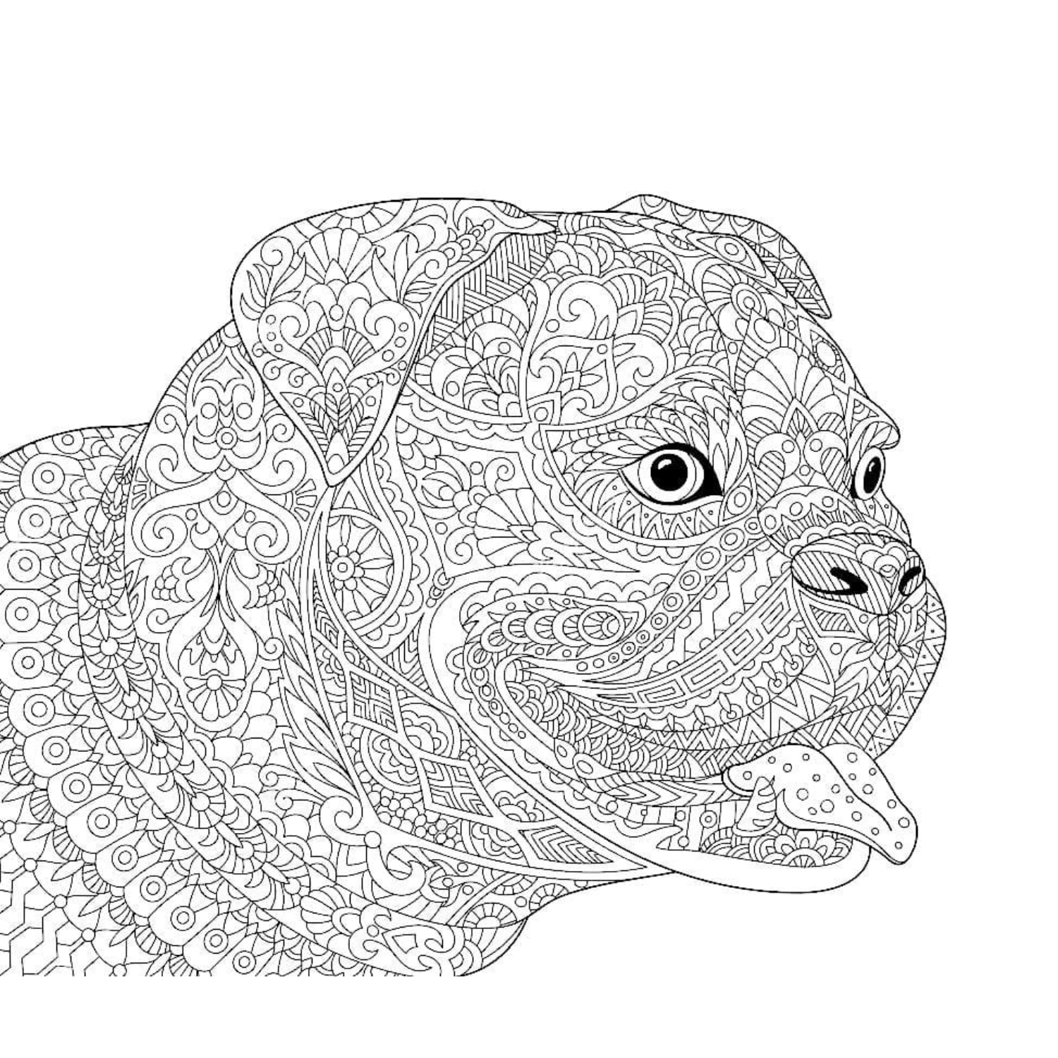 Hard Animal Pattern Coloring Pages Printable Mandala For Kids Made By Teachers