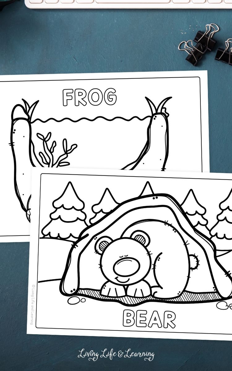 Hibernation Coloring Pages