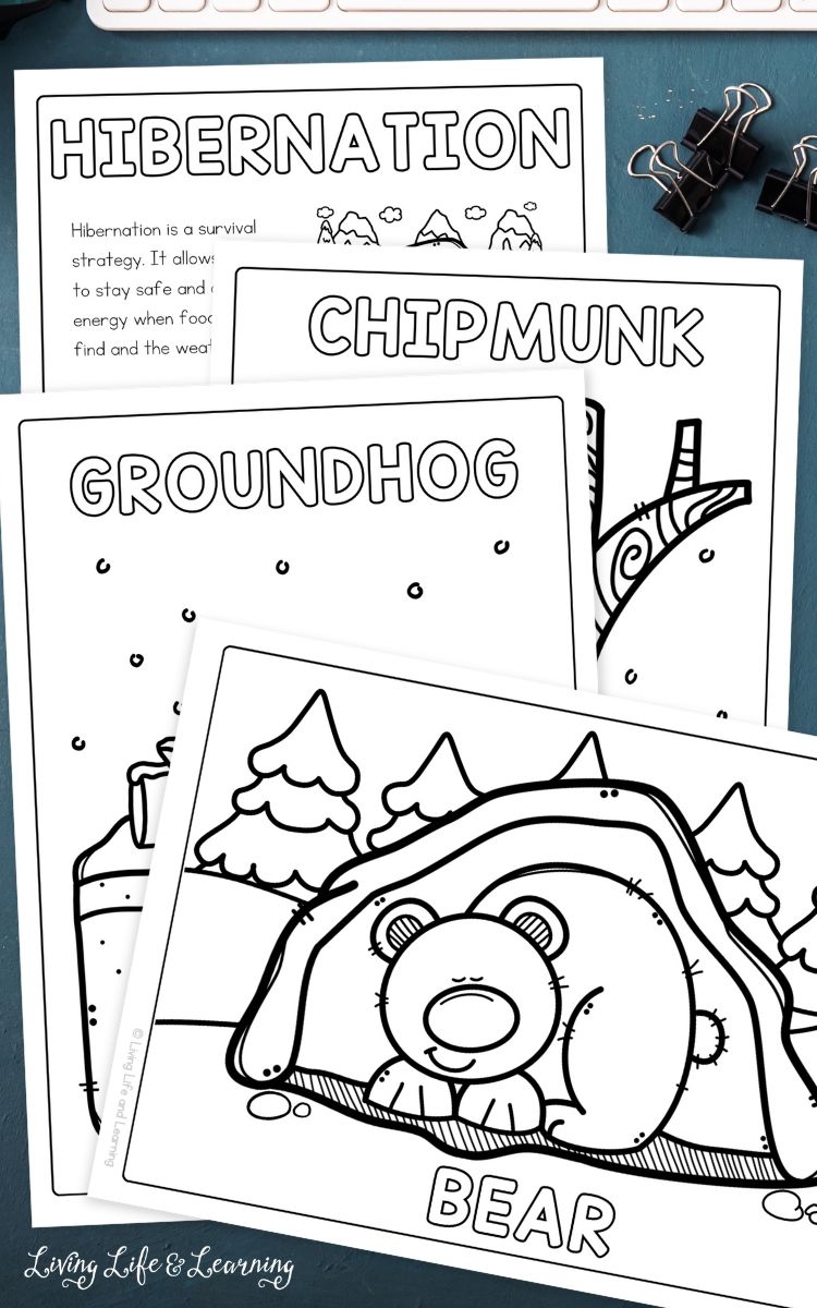 Hibernation Coloring Pages