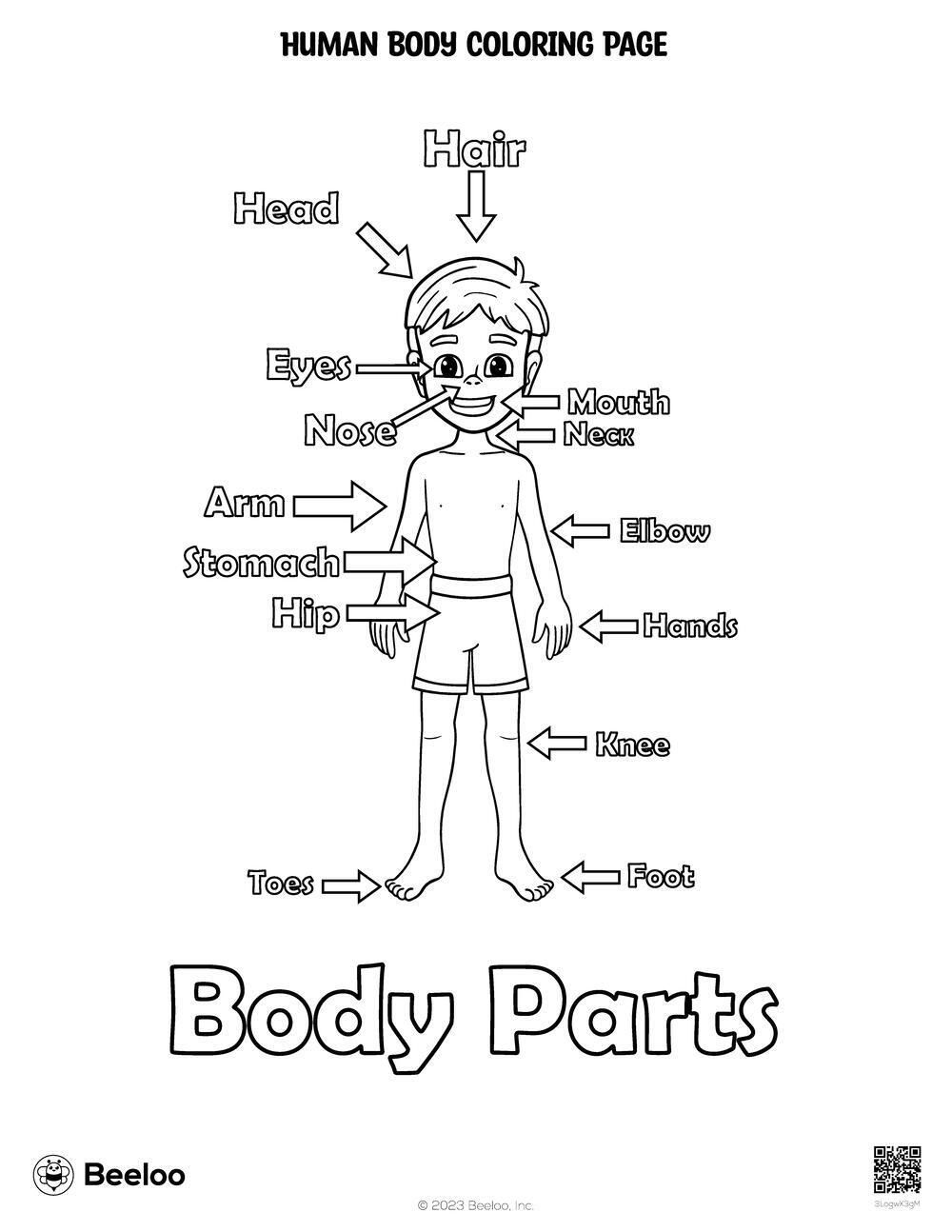 Human Body Coloring Page Beeloo Printable Crafts And Activities For Kids