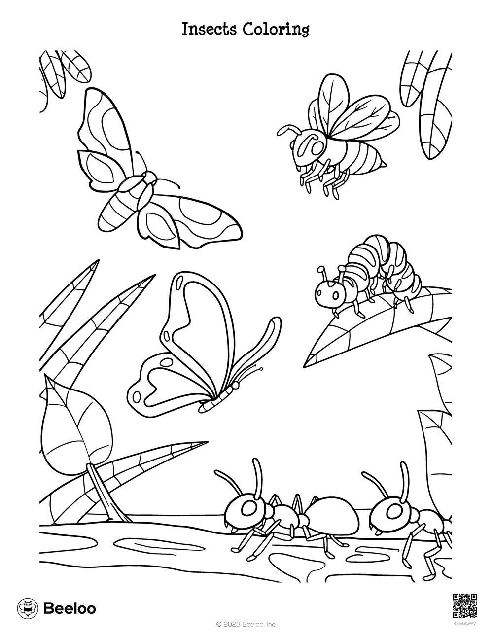 bugs coloring pages preschool