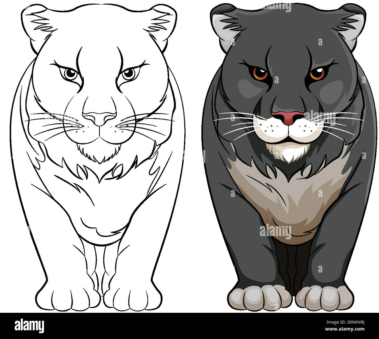 Isolated Vector Illustration Of A Black Panther Walking For Coloring Pages Stock Vector Image Art Alamy