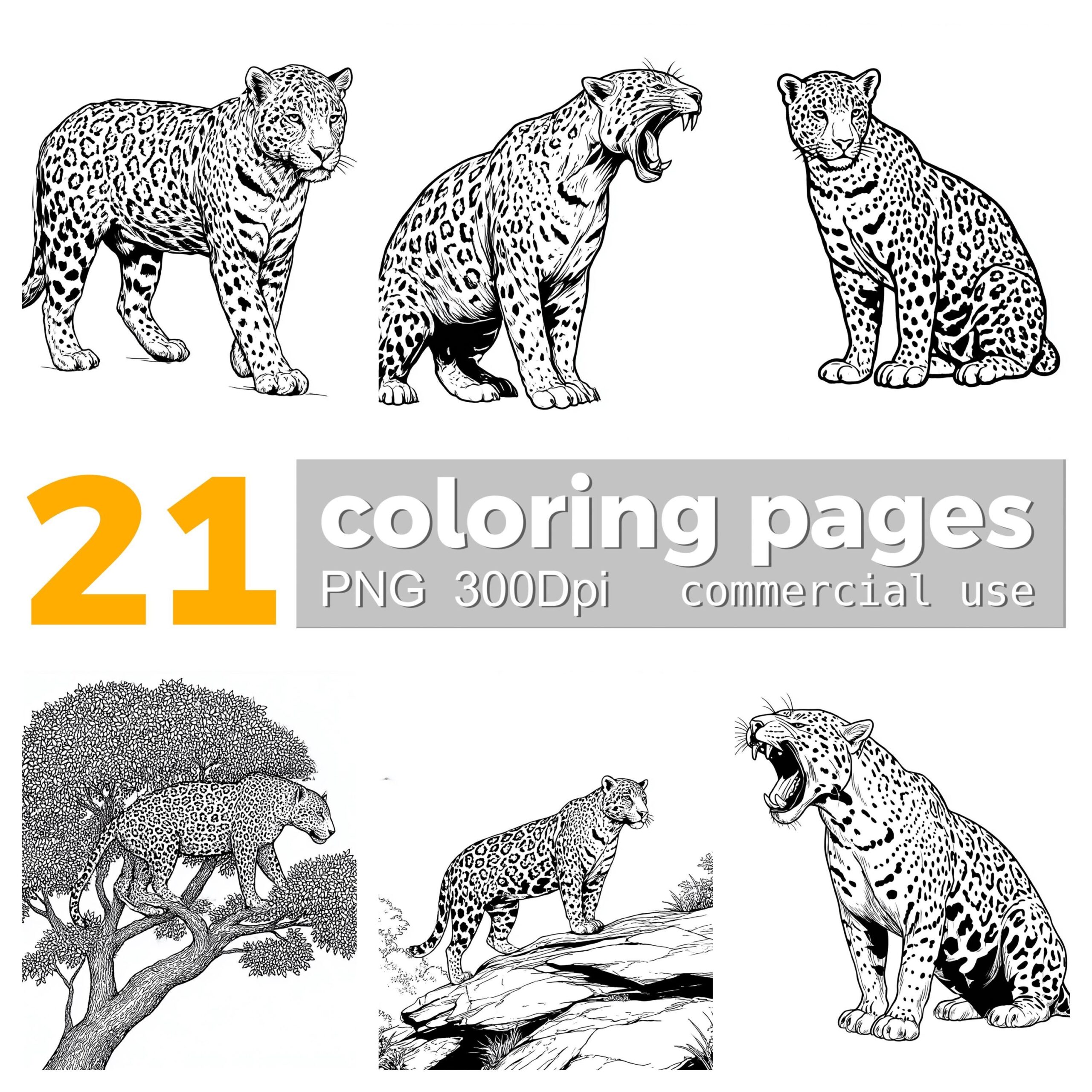 Jaguar Coloring Pages Rainforest Animal Clipart PNG Digital Download Etsy
