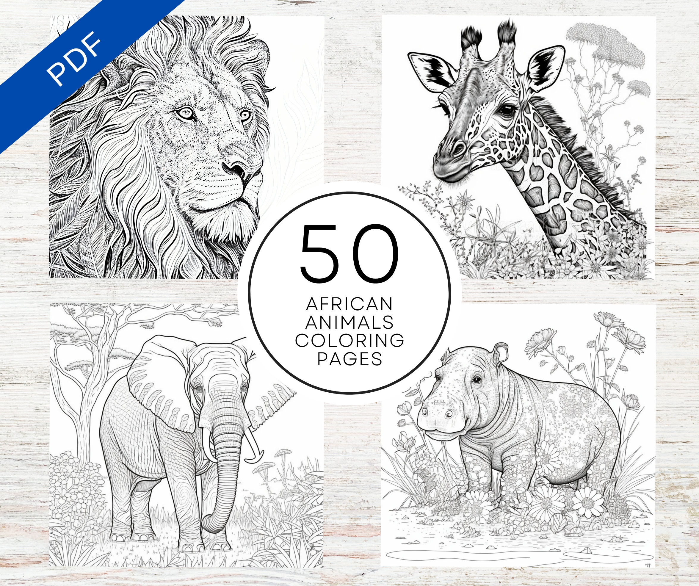 KDP Interior 50 African Animals Coloring Pages 8 5 X 11 Printable PDF Canva Template Realistic Africa Willdlife Coloring Book Etsy
