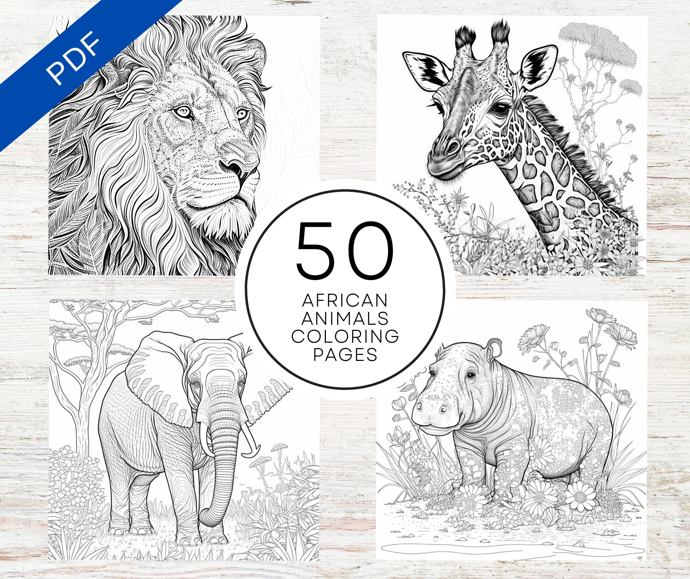 KDP Interior 50 African Animals Coloring Pages 8 5 X 11 Printable PDF Canva Template Realistic Africa Willdlife Coloring Book Etsy