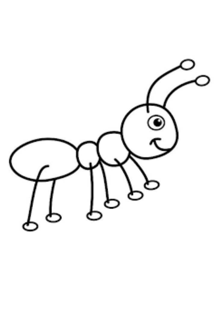 Kindergarten Coloring Page Free Ant