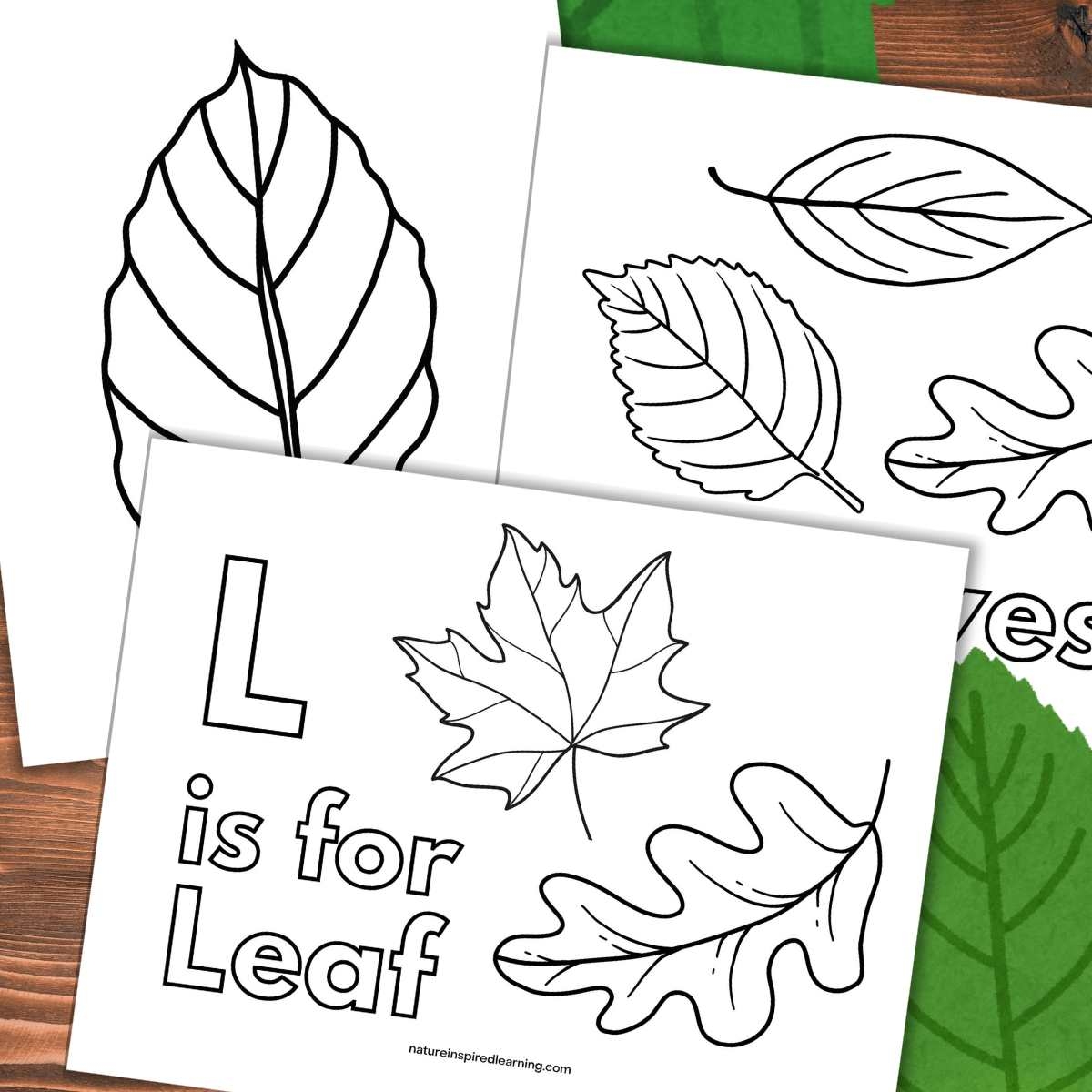 Leaf Coloring Pages Nature Inspired Learning